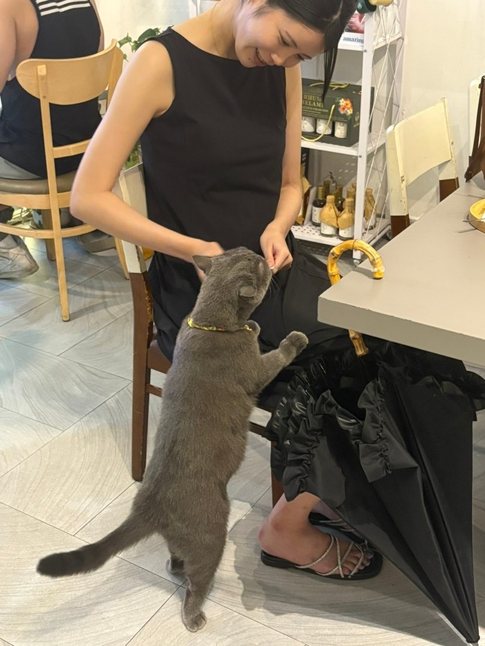 �I�t�V���b�g�ʐ^